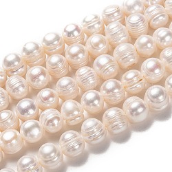 Fili di perle di perle d'acqua dolce coltivate naturali, patata, bisque, 10~11x10.5~12mm, Foro: 0.6 mm, circa 34pcs/filo, 14.17 pollice (36 cm)