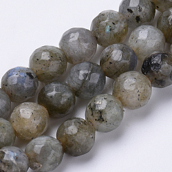 Natural Labradorite Beads Strands, Faceted, Round, 6mm, Hole: 1mm, about 62pcs/strand, 15.3 inch
