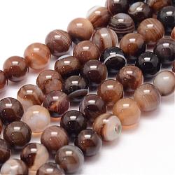 Chapelets de perles en agate rayée naturelle/agate à bandes, ronde, teints et chauffée, café, 8mm, Trou: 1mm, Environ 47~48 pcs/chapelet, 14.5 pouce