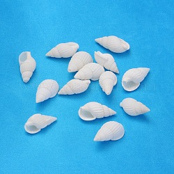 Perles de coquille de trompette naturelles, mixte, blanc, 19~25x10~15x8~11mm, Trou: 1mm, environ 850 pcs/500 g