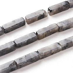 Natürliche schwarze Larvikit-Perlenstränge, Würfel, 13~14x4~4.5x4~4.5 mm, Bohrung: 1.2 mm, ca. 29~30 Stk. / Strang, 15.74 Zoll ~ 16.5 Zoll (40~42 cm)