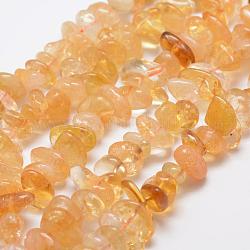 Natürlichen Citrin Perlen Stränge, Nuggets, gefärbt und erhitzt, 12~20x6~8 mm, Bohrung: 1 mm, 15.3 Zoll (39 cm)