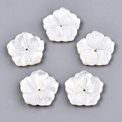 Guscio bianco naturale madreperla perle di conchiglia, lavorato, fiore, bianco crema, 22x22x3mm, Foro: 1.2 mm