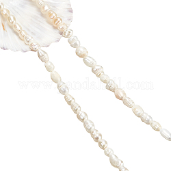 Nbeads 1 filo di grado un filo di perle di perle d'acqua dolce coltivate naturali, riso, bianco, 4~7.5x3~4mm, Foro: 0.6 mm, circa 65~72pcs/filo, 14.45 pollice ~ 14.65 pollici (36.7 cm ~ 37.2 cm)