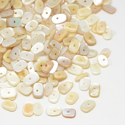 Perline di conchiglie d'acqua dolce naturali tinte, bianco antico, 7~10x5~7x1~4mm, Foro: 1 mm, circa 2600pcs/500g