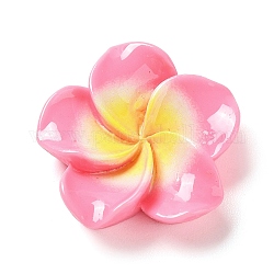 Opaque Resin Cabochons, Plumeria Flower, Hot Pink, 20x20.5x6.5mm