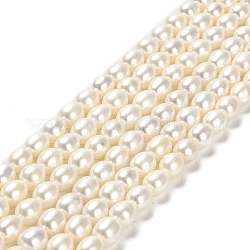 Fili di perle di perle d'acqua dolce coltivate naturali, riso, grado 6a+, bianco floreale, 6.5~7.5x6~7mm, Foro: 0.6 mm, circa 50pcs/filo, 14.76'' (37.5 cm)