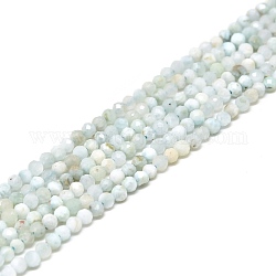 Natural Larimar Beads Strands, Round, Faceted, 2.5mm, Hole: 0.5mm, about 175pcs/strand, 15.35 inch(39cm)