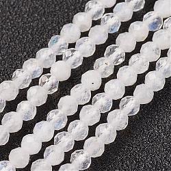 Natural Rainbow Moonstone Bead Strand, Round, Faceted, 3mm, Hole: 0.8mm, about 127pcs/strand, 15.7 inch(40cm)