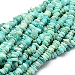 Natural Amazonite Chip Beads Strands, 4~14x4~12mm, Hole: 1mm, about 15.3 inch~16.1 inch
