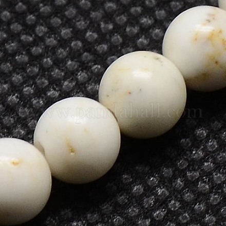Natural Magnesite Beads Strands X-TURQ-G103-6mm-1