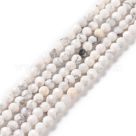 Natürliche Howlith Perlen Stränge G-H273-02B-1