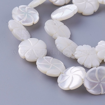 Chapelets de perles de coquillage SSHEL-E571-43-1