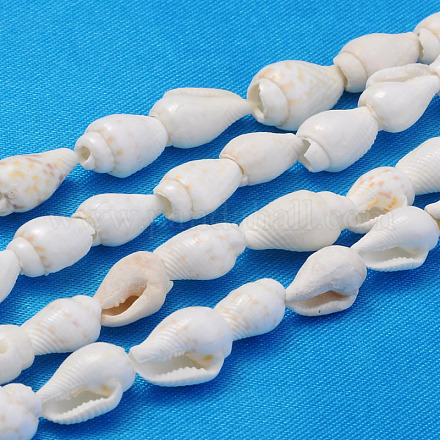 Chapelets de perles de coquille de trompette naturelles X-S02KI011-1