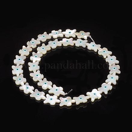 Natural Sea Shell Beads SSHEL-F293-19-1