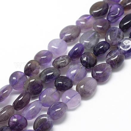 Natural Amethyst Beads Strands G-R445-8x10-02-1