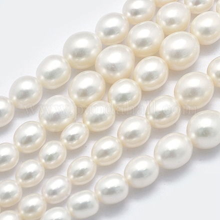 Natural Cultured Freshwater Pearl Beads Strands PEAR-K003-21C-1