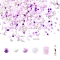 2 Sets Glass Seed Beads, Mixed Shapes, DIY Necklace Bracelet Accessories, Plum, 2.5~7.5x2~4.5x2~4.5mm, Hole: 0.8~1.4mm