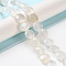 Natural White Agate Beads Strands, Faceted Coin Beads, Flat Round, 10~10.5x4.5~5.5mm, Hole: 1.2mm, about 20pcs/strand, 7.80 inch(19.8cm)