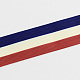 Polyester Grosgrain Striped Ribbon OCOR-S020-25mm-03-1