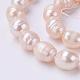 Natural Cultured Freshwater Pearl Oval Beads Strands PEAR-E002-10-3
