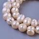 Natural Cultured Freshwater Pearl Beads Strands PEAR-E004-43-3