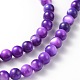 Natural Shell Beads Strands M-PRS001Y-3