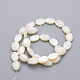 Chapelets de perles de coquille de trochid / trochus coquille SSHEL-Q298-16-2