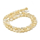 Brins de perles de coquillages naturels de troca BSHE-P033-02-4