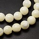 Natural Sea Shell Beads Strands SSHEL-K013-10mm-A-3