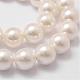 Cuentas perlas de concha de perla BSHE-L026-03-14mm-3