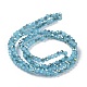 Electroplate Glass Faceted Rondelle Beads Strands EGLA-D020-3x2mm-38-4