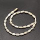 Teints ovales eau douce naturelle perles de coquillage brins SHEL-E356-06-3