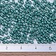 MIYUKI Round Rocailles Beads X-SEED-G007-RR1075-4