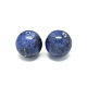 Natural Sodalite Beads X-G-F222-39A-14mm-2