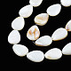 Natural White Shell Beads Strands X-PBB263Y-1-5