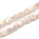 Electroplate Glass Beads Strands EGLA-I017-02-AB01-1