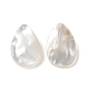 Perles de coquillage blanc naturel SSHEL-C011-06-1