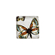 Mariposa impresa cabuchones cuadrados de vidrio GGLA-N001-10mm-C-2