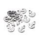 201 Stainless Steel Charms STAS-F255-021P-1