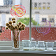 塩ビ窓ステッカー  フラットラウンドい形  窓や階段の家の装飾用  シェル模様  180x180x0.3mm DIY-WH0235-046-7