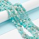 Natural Exotic Amazonite Chips Beads Strands F070-1-4