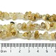 Natural Rutilated Quartz Beads Strands G-Z034-E10-01-5