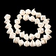 Chapelets de perles en coquillage naturel BSHE-O016-04-01-3