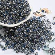 Стеклянные бусины ирис SEED-Z001-C-D06
