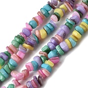 Бусины из натуральных пресноводных ракушек SHEL-B003-01I