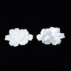 Naturweiße Shell-Link-Anschlüsse&nbsp;SSHEL-S258-103A