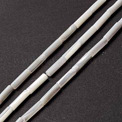 Natürliche Trochidschale / Trochusschalenperlen&nbsp;SSHEL-O001-26B