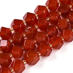 Brins de perles de cornaline naturelle (teintes et chauffées)&nbsp;G-T140-09B