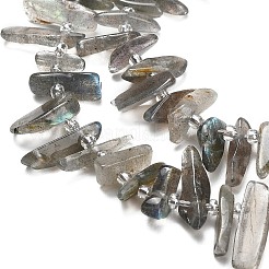 Natur Labradorit Perlen Stränge&nbsp;G-Z124-C01-01